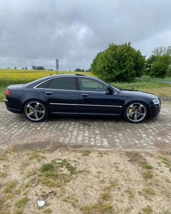 Audi A8 cena 36500 przebieg: 308000, rok produkcji 2005 z Gościno małe 92